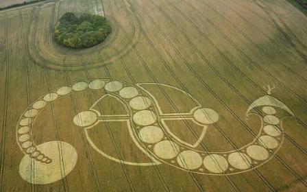 Sun Snake